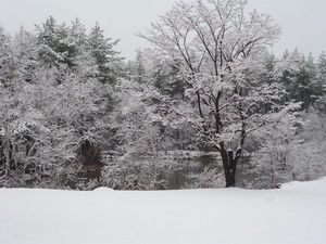雪模様の池