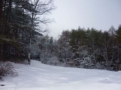 2012秋初雪2