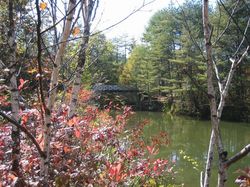 秋第一池の橋