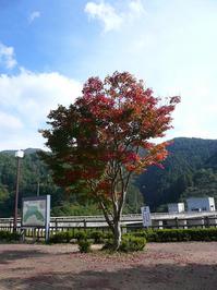 P1080672T.JPG