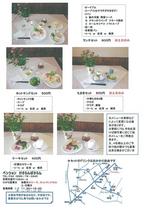 img-623135659-0001.JPG