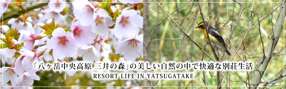 「八ヶ岳中央高原三井の森」の美しい自然の中で快適な別荘生活
