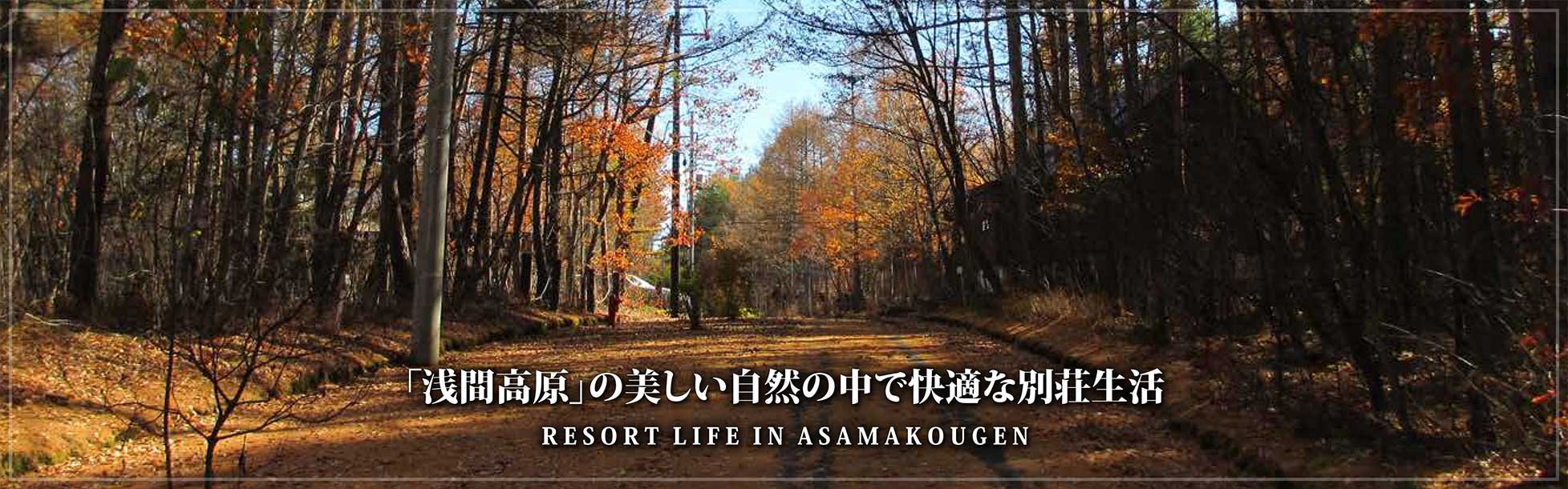 「浅間高原」の美しい自然の中で快適な別荘生活