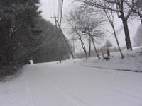 画像 2011年2月11日1.jpg