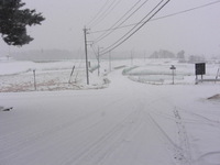 画像 2011年2月11日2.jpg