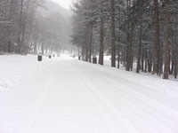 画像 2011年2月11日3.jpg