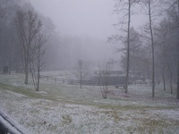 IMGP4146.JPG