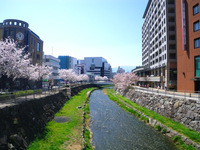 IMGP4599.JPG