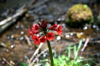 IMG_6278.JPG