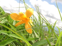 画像 2013年7月9日17.JPG