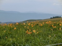 CIMG8469.JPG