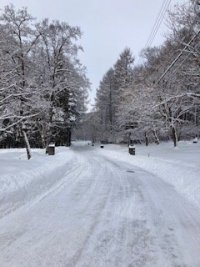 IMG_0878.jpg