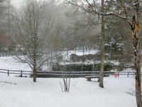 CIMG0350.JPG