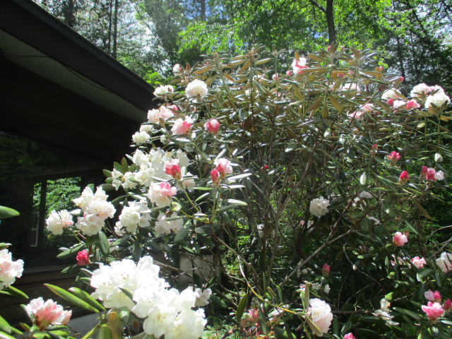 https://www.31kanri.jp/nakakaruizawa/info/IMG_0818.png