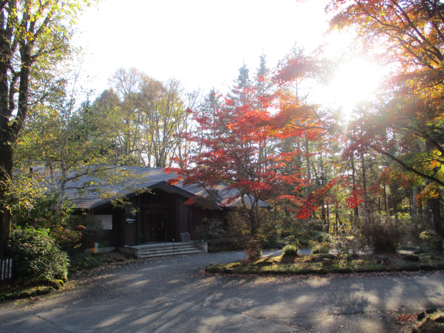 https://www.31kanri.jp/nakakaruizawa/info/IMG_1375.png
