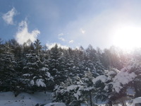 PC180100.JPG