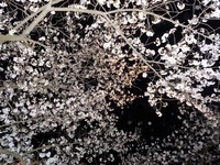 DSCN0220.JPG