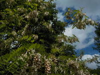 DSCN4848.JPG