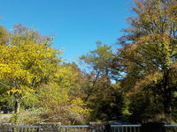 DSCN5039.JPG