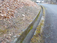 DSCN5159.JPG