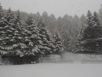 DSCN5448.JPG