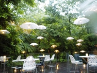 DSCN5597.JPG