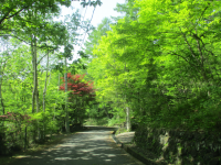 IMG_0781.png