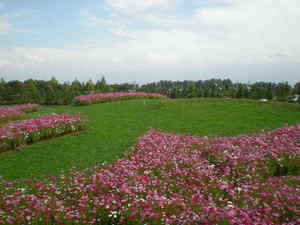 画像 2010年10月16日3.jpgのサムネール画像
