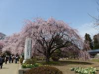 P1000024T.JPG