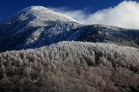 IMG_7636.JPG