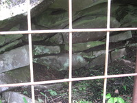 画像 2012年6月23日17.JPG