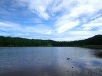 IMGP4835.JPG