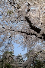 _Z0A1290.JPG
