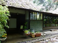 P1100650.jpg