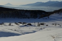 池のくるみ～富士山・南アルプス.JPG