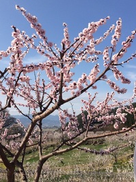 201504121.JPG