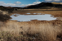 _Z0A6893.JPG
