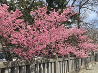IMG_1048.JPG