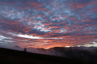 _Z0A8530.JPG
