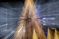 _Z0A0483.JPG