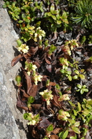 P1000325.JPG