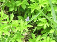 IMG_0361-2.jpg