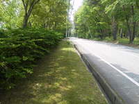 2012061511530000.jpg