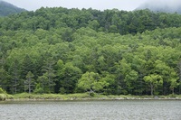 _Z0A3093.jpg