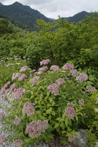 20160913.JPG