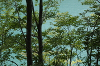 20160934.JPG