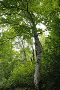 20160935.JPG