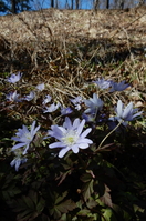 DSCN1024.JPG