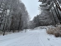 ⑥大石公園付近-2.jpg