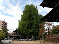 takayama10.jpg